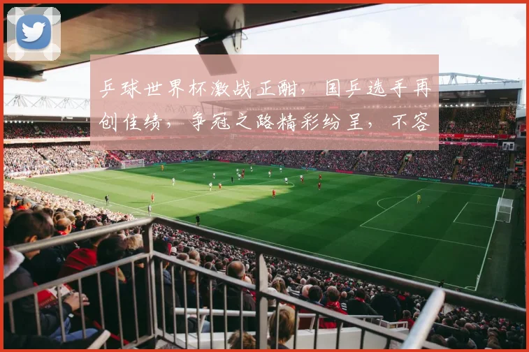 乒球世界杯激战正酣，国乒选手再创佳绩，争冠之路精彩纷呈，不容错过