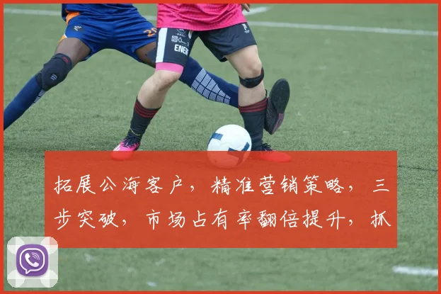 拓展公海客户，精准营销策略，三步突破，市场占有率翻倍提升，抓住商机